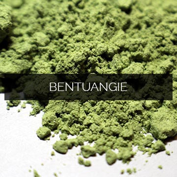 Red Bentuangie (Red Vein)