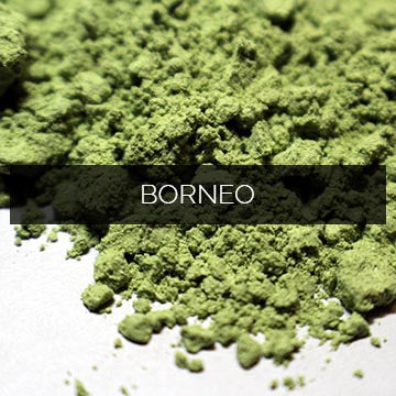 Red Borneo